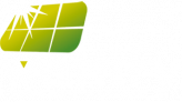 wattify - Energía renovable para todos